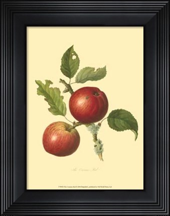 Framed Cowarne Red Print