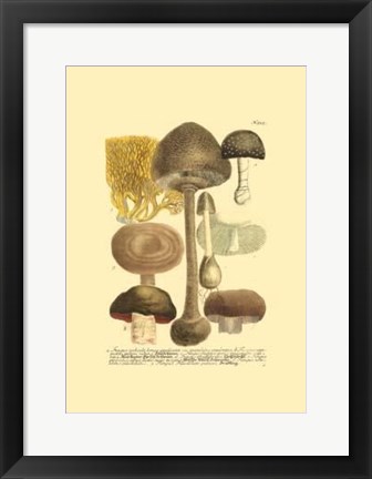 Framed Mushrooms II Print