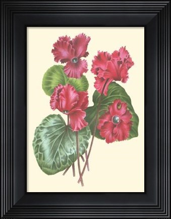 Framed Bountiful Garden I Print