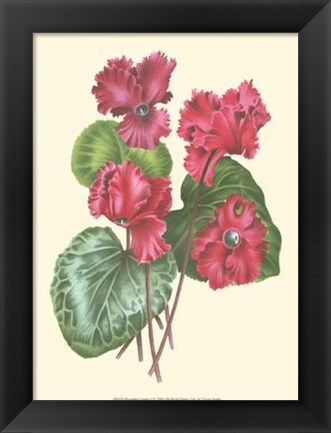 Framed Bountiful Garden I Print