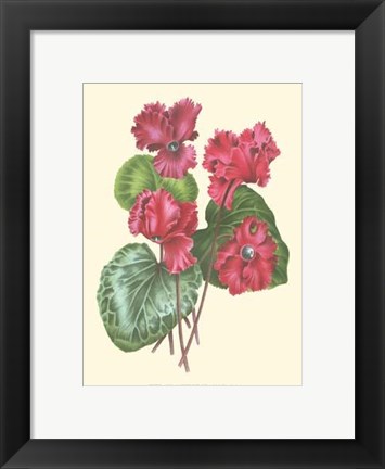 Framed Bountiful Garden I Print