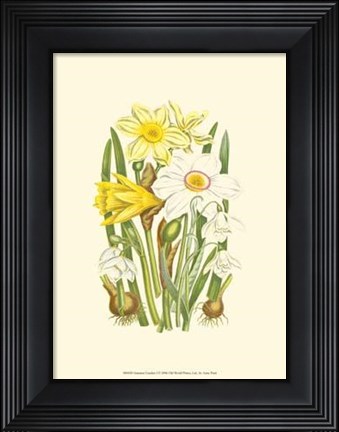 Framed Summer Garden I Print