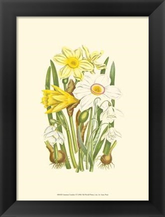 Framed Summer Garden I Print