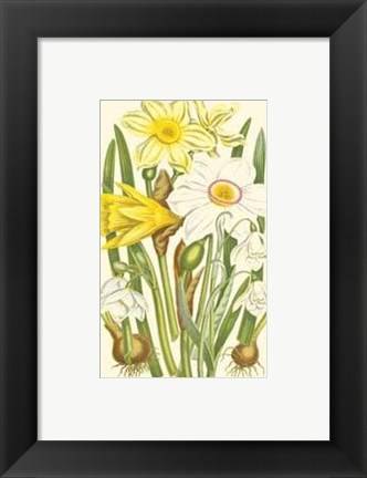 Framed Summer Garden I Print