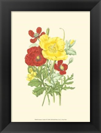 Framed Summer Garden II Print