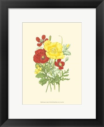 Framed Summer Garden II Print