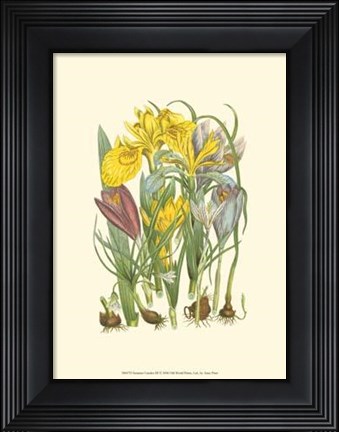 Framed Summer Garden III Print