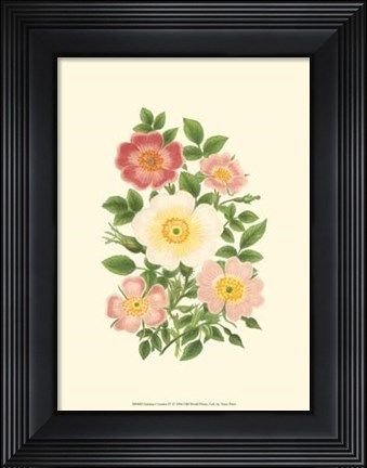 Framed Summer Garden IV Print