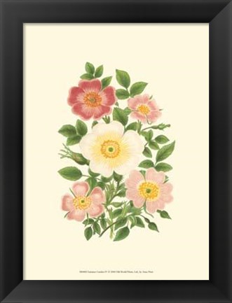 Framed Summer Garden IV Print