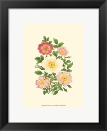 Framed Summer Garden IV Print