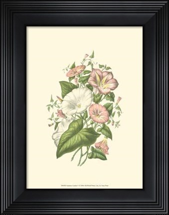 Framed Summer Garden V Print