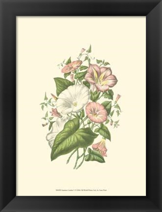 Framed Summer Garden V Print