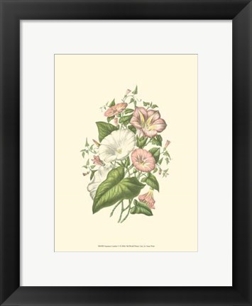 Framed Summer Garden V Print