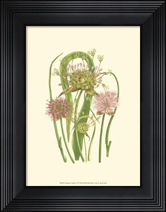Framed Summer Garden VI Print