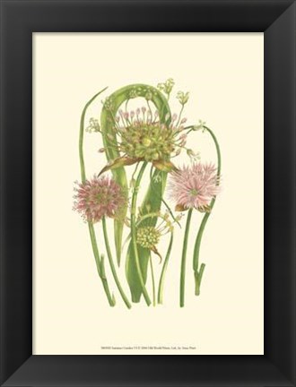 Framed Summer Garden VI Print