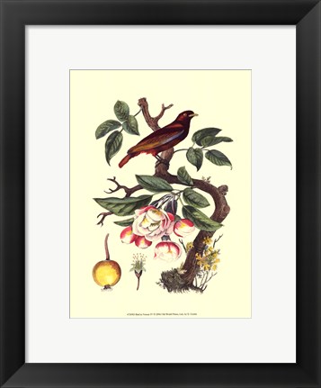 Framed Bird In Nature IV Print