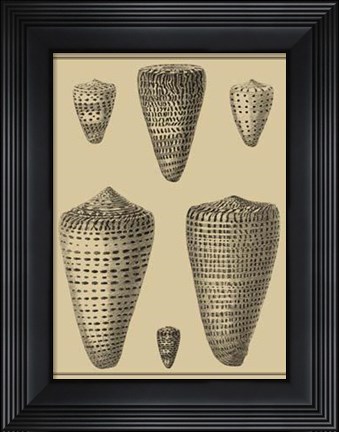 Framed Shells On Khaki VII Print