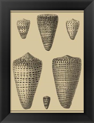 Framed Shells On Khaki VII Print