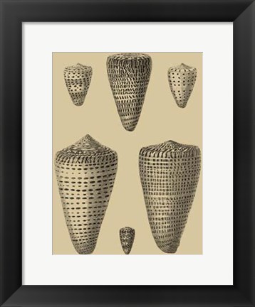 Framed Shells On Khaki VII Print