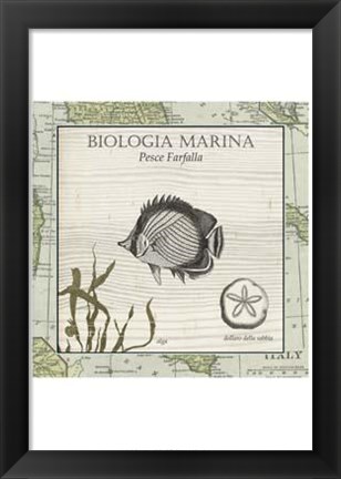 Framed Biologia Marina I Print