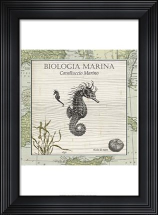 Framed Biologia Marina III Print