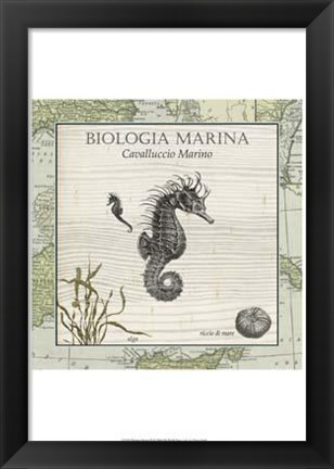 Framed Biologia Marina III Print