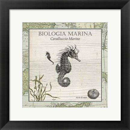 Framed Biologia Marina III Print