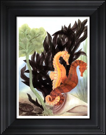 Framed Seahorse Serenade I Print