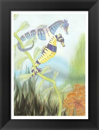 Framed Seahorse Serenade III Print