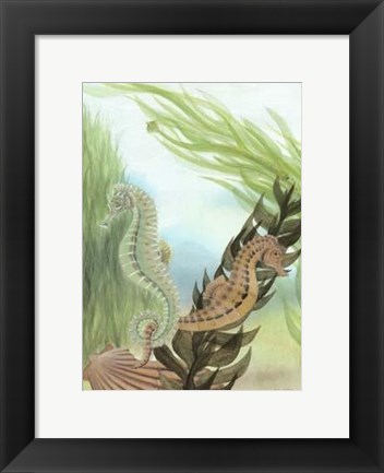 Framed Seahorse Serenade IV Print