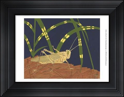 Framed Ornamental Grasshopper I Print