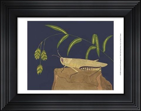 Framed Ornamental Grasshopper II Print