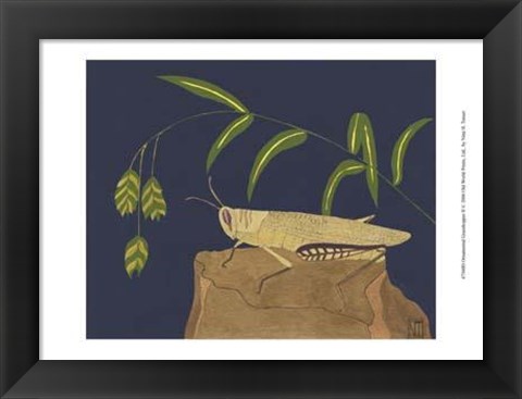 Framed Ornamental Grasshopper II Print