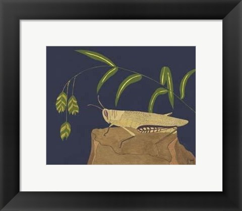 Framed Ornamental Grasshopper II Print