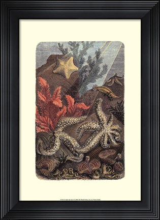 Framed Under The Sea I Print