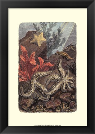 Framed Under The Sea I Print