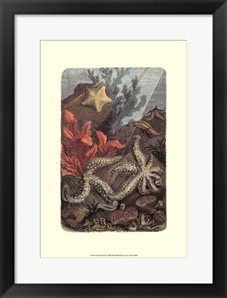 Framed Under The Sea I Print