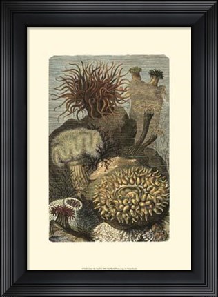 Framed Under The Sea II Print