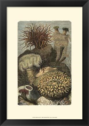 Framed Under The Sea II Print