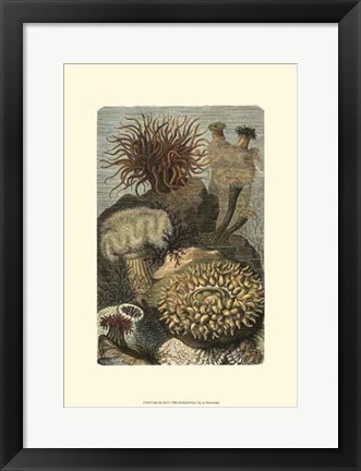 Framed Under The Sea II Print