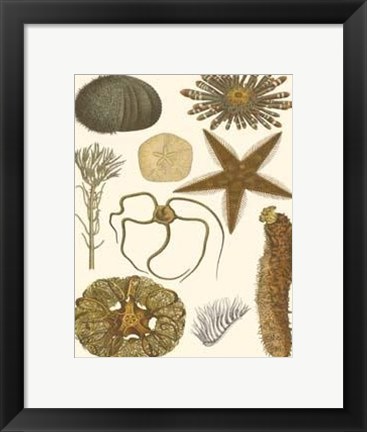 Framed Underwater Oddities I Print