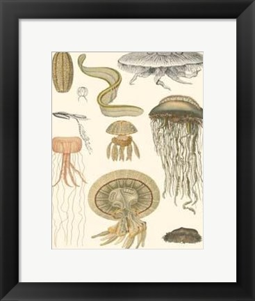 Framed Underwater Oddities II Print