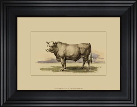 Framed Antique Cow I Print