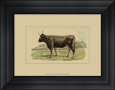 Framed Antique Cow III Print