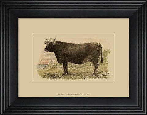 Framed Antique Cow V Print