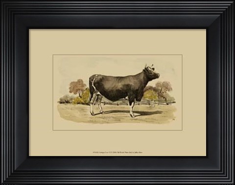 Framed Antique Cow VI Print