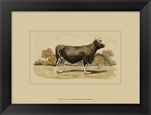 Framed Antique Cow VI Print