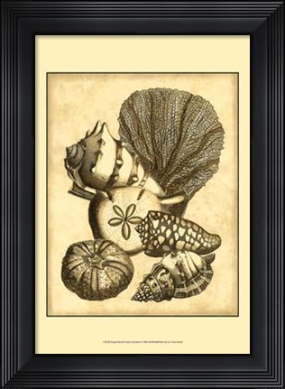 Framed Neutral Shell Coral Collection I Print