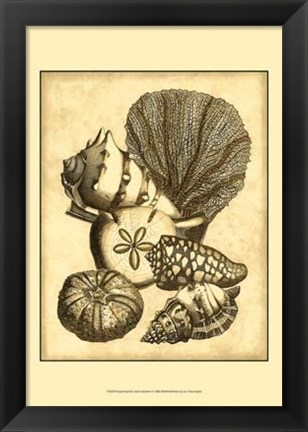 Framed Neutral Shell Coral Collection I Print