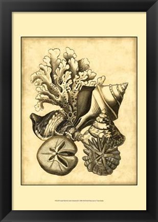 Framed Neutral Shell Coral Collection II Print